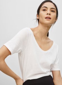 Babaton Duke T-shirt (Aritzia)